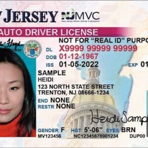 Buy Driver’s License Online